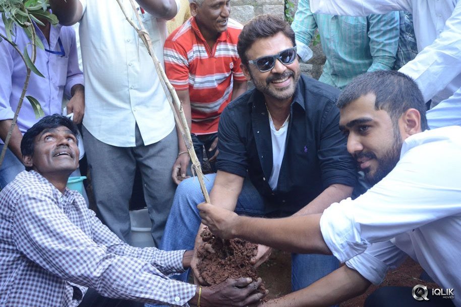 -Venkatesh-At-Haritha-Haaram-Event